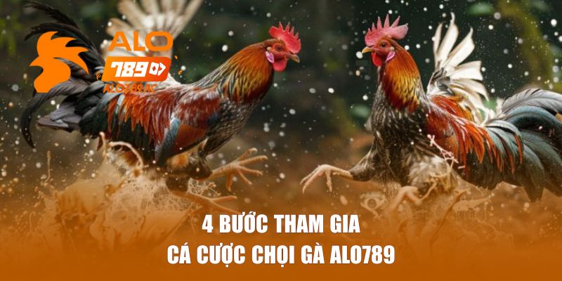4 bước tham gia cá cược chọi gà Alo789