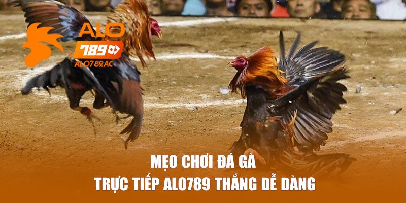 Mẹo chơi đá gà trực tiếp Alo789 thắng dễ dàng